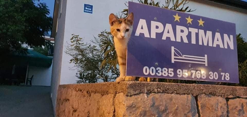 Apartman Zahira Karlobag Dış mekan fotoğraf